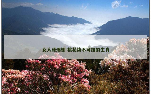 女人缘爆棚 桃花势不可挡的生肖