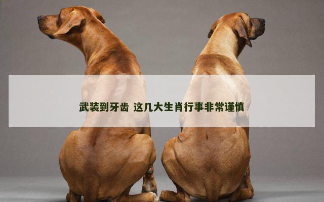 武装到牙齿 这几大生肖行事非常谨慎