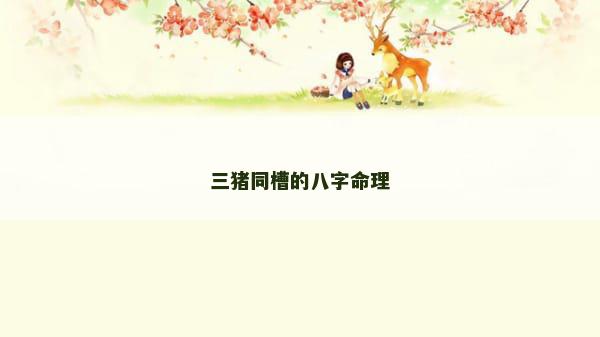 三猪同槽的八字命理