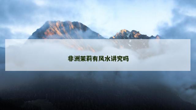 非洲茉莉有风水讲究吗