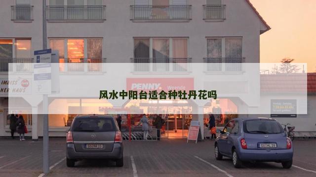 风水中阳台适合种牡丹花吗