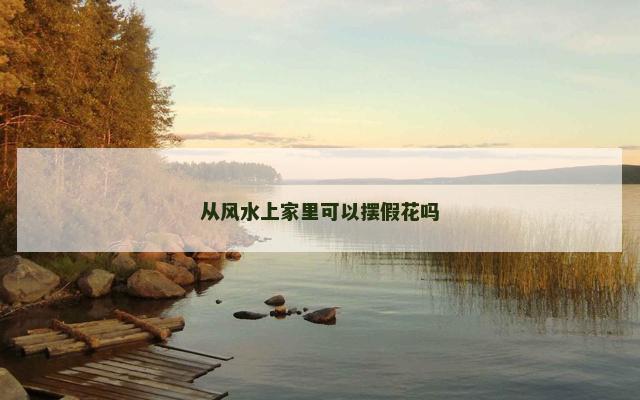 从风水上家里可以摆假花吗