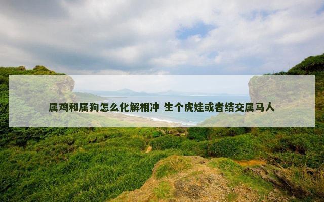 属鸡和属狗怎么化解相冲 生个虎娃或者结交属马人