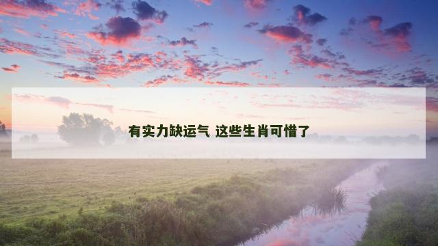 有实力缺运气 这些生肖可惜了