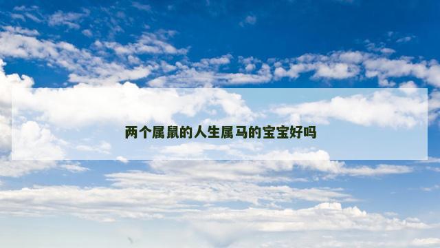 两个属鼠的人生属马的宝宝好吗