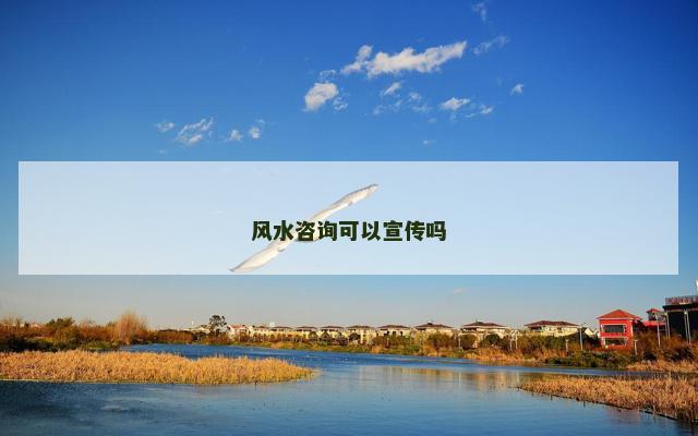 风水咨询可以宣传吗