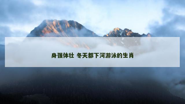 身强体壮 冬天都下河游泳的生肖