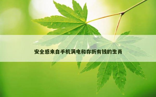 安全感来自手机满电和存折有钱的生肖
