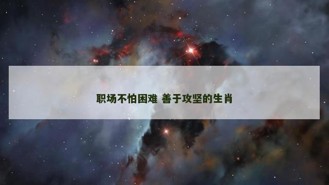 职场不怕困难 善于攻坚的生肖