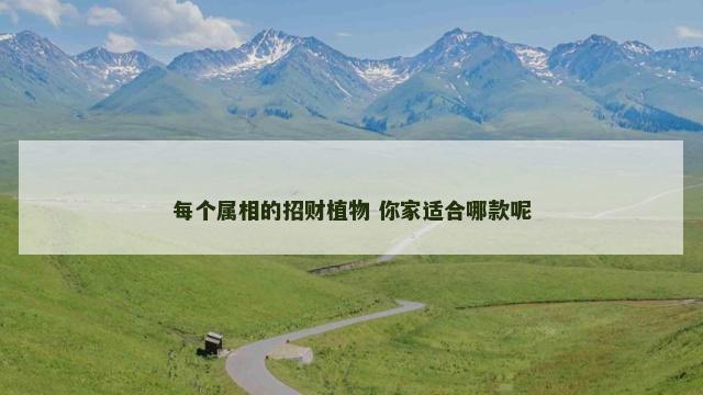 每个属相的招财植物 你家适合哪款呢