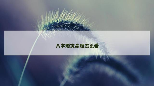 八字婚灾命理怎么看
