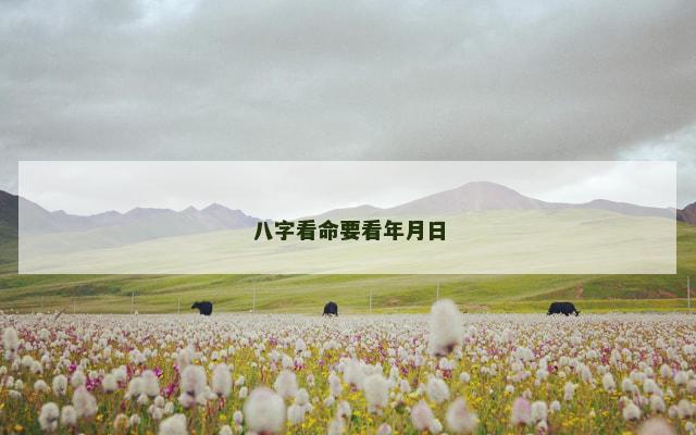 八字看命要看年月日