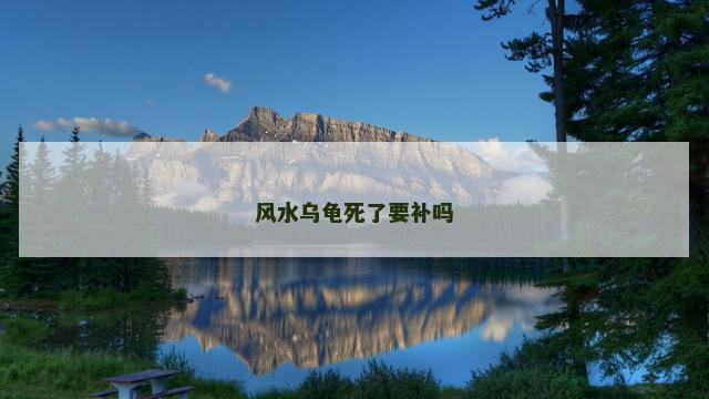 风水乌龟死了要补吗
