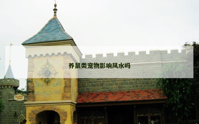 养鼠类宠物影响风水吗
