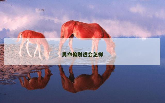 男命偏财透会怎样