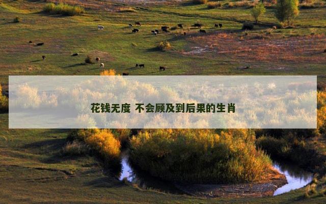 花钱无度 不会顾及到后果的生肖