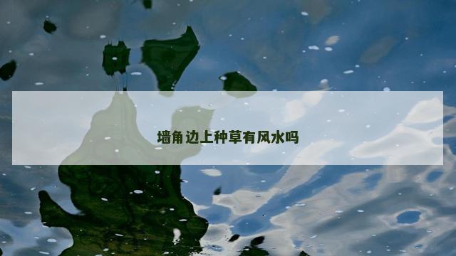 墙角边上种草有风水吗
