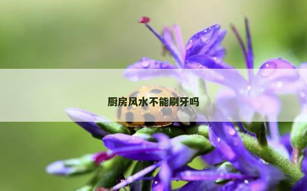 厨房风水不能刷牙吗