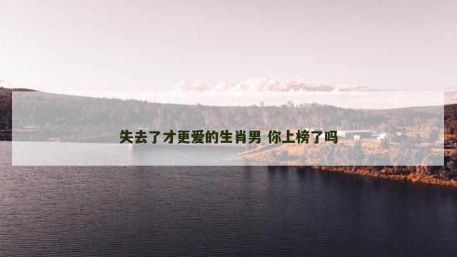 失去了才更爱的生肖男 你上榜了吗