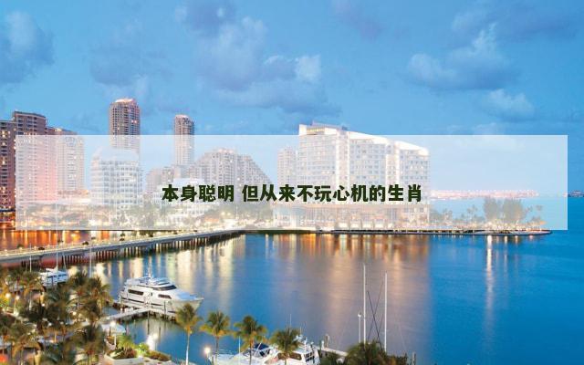 本身聪明 但从来不玩心机的生肖
