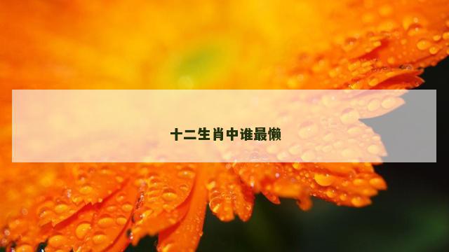 十二生肖中谁最懒