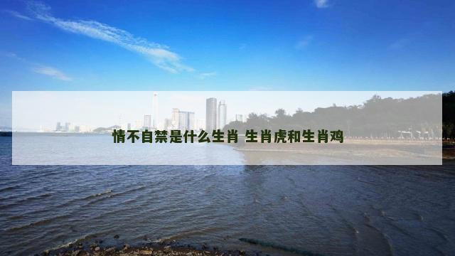 情不自禁是什么生肖 生肖虎和生肖鸡