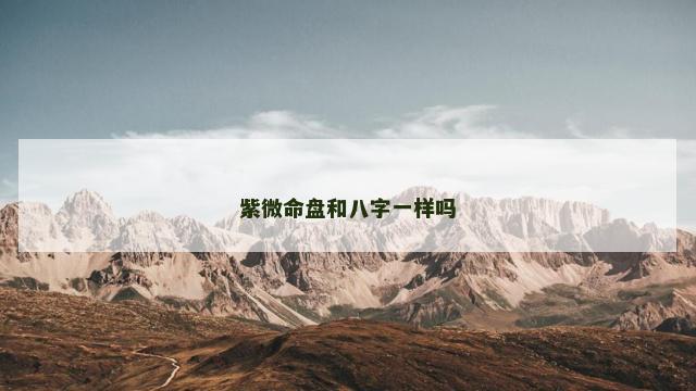 紫微命盘和八字一样吗
