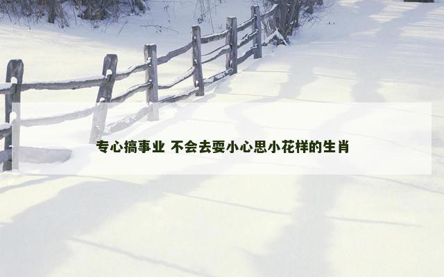 专心搞事业 不会去耍小心思小花样的生肖