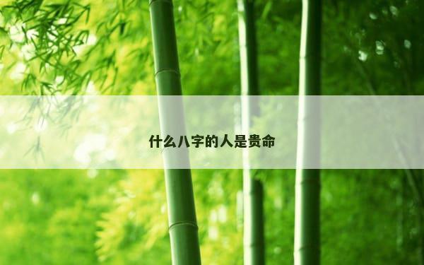 什么八字的人是贵命