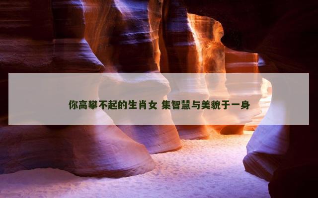 你高攀不起的生肖女 集智慧与美貌于一身