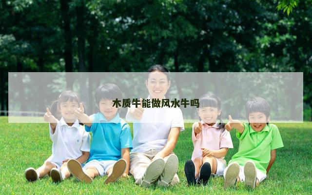 木质牛能做风水牛吗