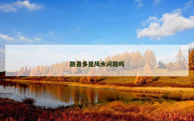 跳蚤多是风水问题吗