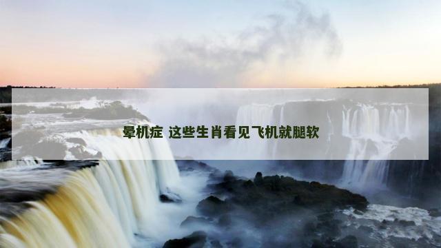 晕机症 这些生肖看见飞机就腿软