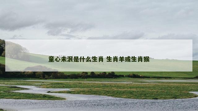 童心未泯是什么生肖 生肖羊或生肖猴