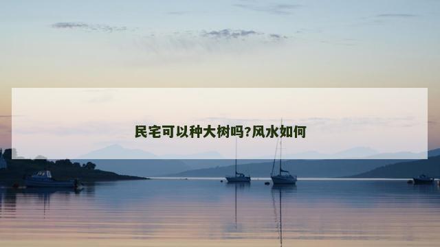 民宅可以种大树吗?风水如何