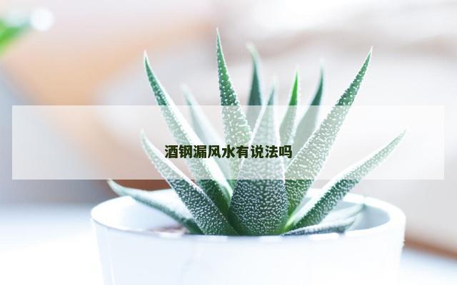 酒钢漏风水有说法吗