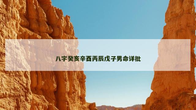 八字癸亥辛酉丙辰戊子男命详批