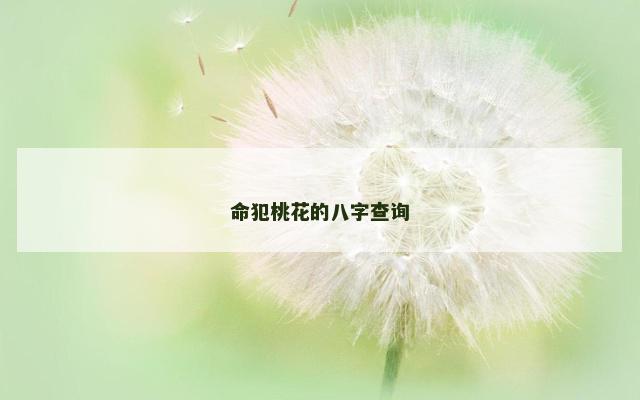 命犯桃花的八字查询