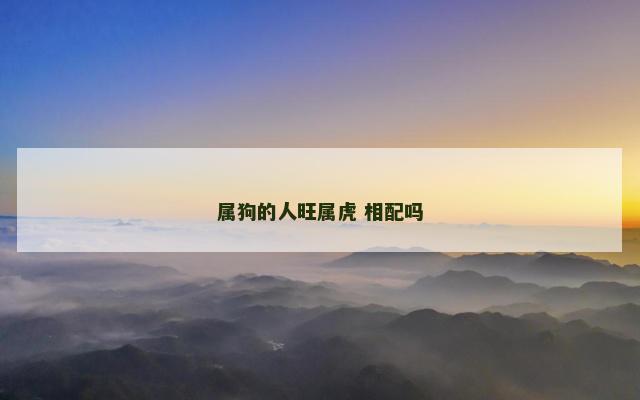 属狗的人旺属虎 相配吗