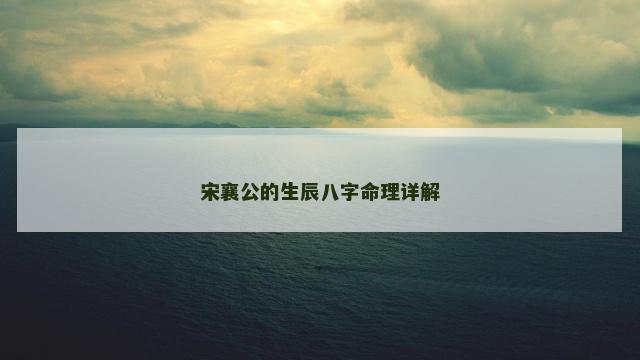 宋襄公的生辰八字命理详解