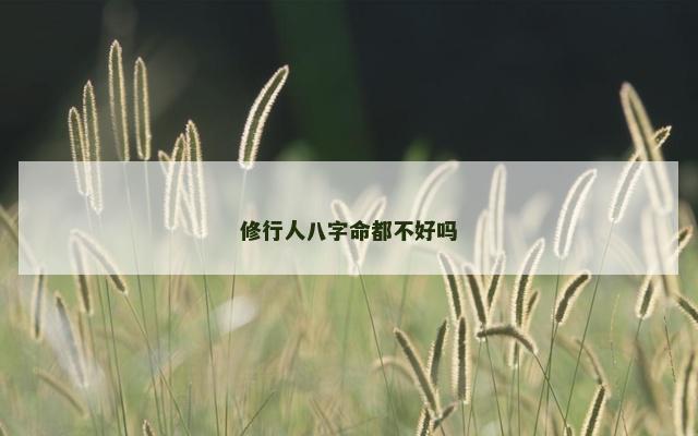 修行人八字命都不好吗