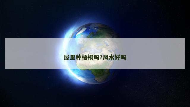屋里种梧桐吗?风水好吗