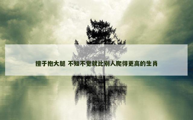 擅于抱大腿 不知不觉就比别人爬得更高的生肖