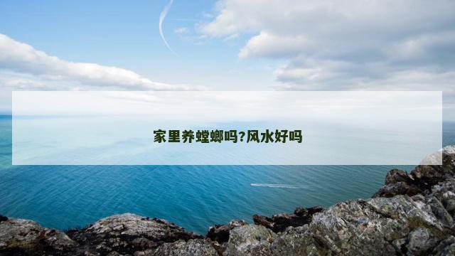 家里养螳螂吗?风水好吗