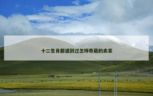 十二生肖都遇到过怎样奇葩的卖家