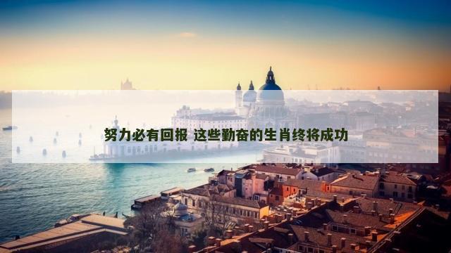 努力必有回报 这些勤奋的生肖终将成功