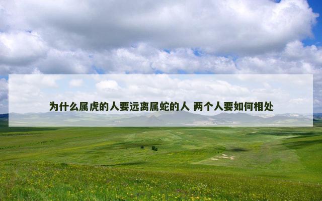 为什么属虎的人要远离属蛇的人 两个人要如何相处
