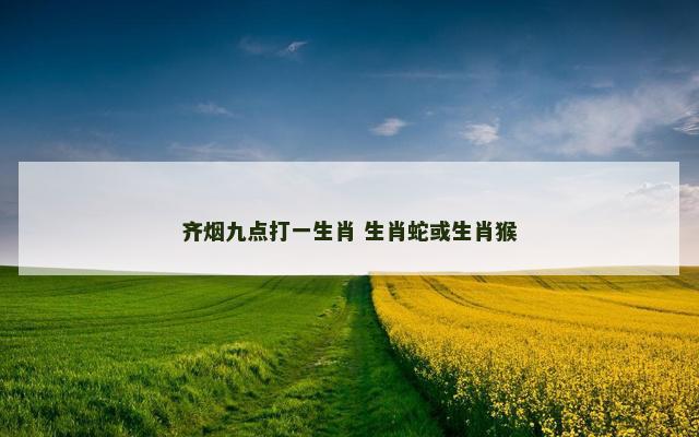 齐烟九点打一生肖 生肖蛇或生肖猴