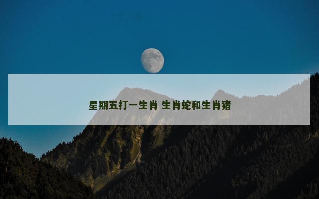 星期五打一生肖 生肖蛇和生肖猪