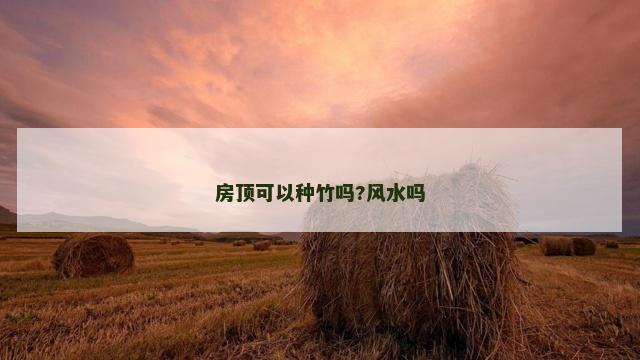 房顶可以种竹吗?风水吗